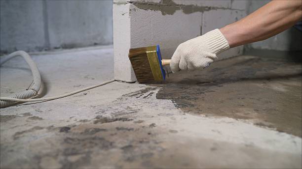 Top rated local Basement Waterproofing specialists in Goreville, IL